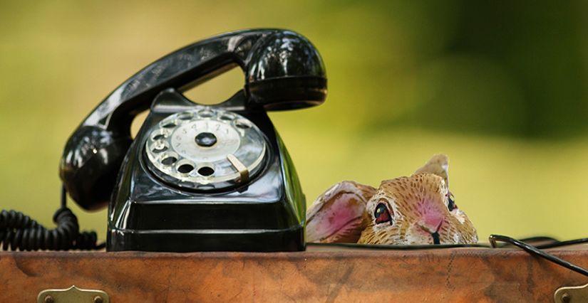 Chasse aux lapins chez Get Out Rennes | Kidiklik